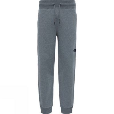 Pantalones The North Face NSE Hombre - Gris - Chile GKE035746